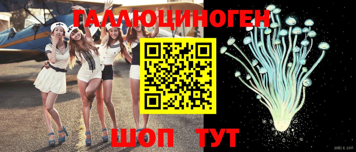 Киржач  Галлюциногенные грибы прущие грибы  Вход с VPN 