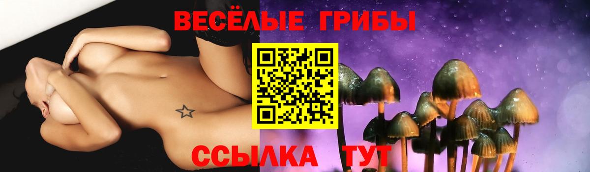 Галлюциногенные грибы прущие грибы Киржач
